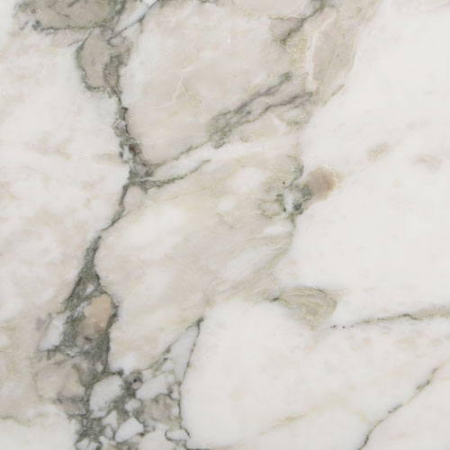 Arabescato Vagli marble swatch